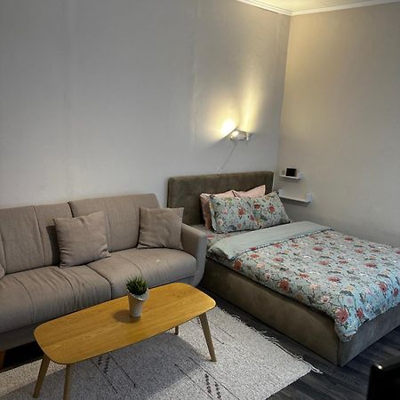 1 Bedroom Apartment Near Kadriorg Swan Pond Tallinn Eksteriør bilde