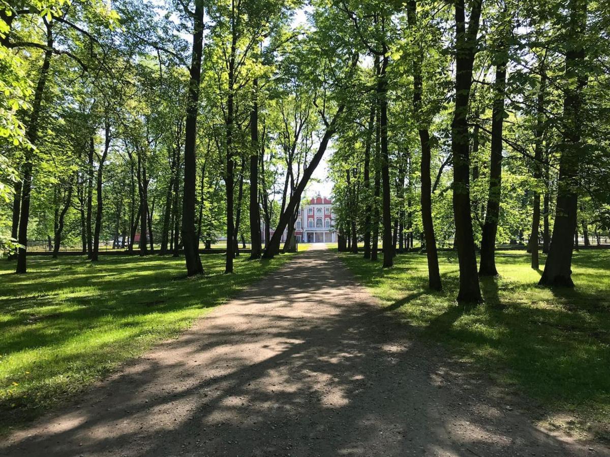 1 Bedroom Apartment Near Kadriorg Swan Pond Tallinn Eksteriør bilde